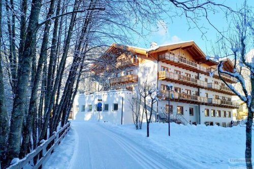 Park Hotel Avisio