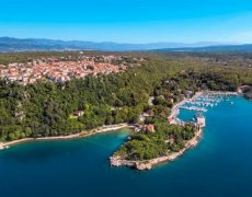 Hotel Delfin (Omišalj)