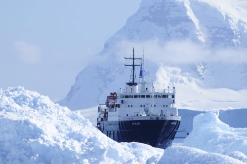 Around Spitsbergen, In the realm of Polar Bear & Ice (m/v Ortelius)