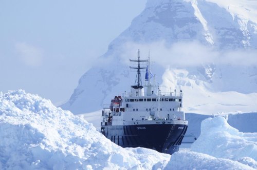 Around Spitsbergen, In the realm of Polar Bear & Ice (m/v Ortelius)