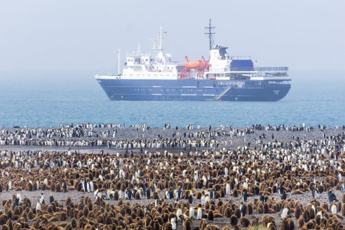 Around Spitsbergen, In the realm of Polar Bear & Ice (m/v Ortelius)