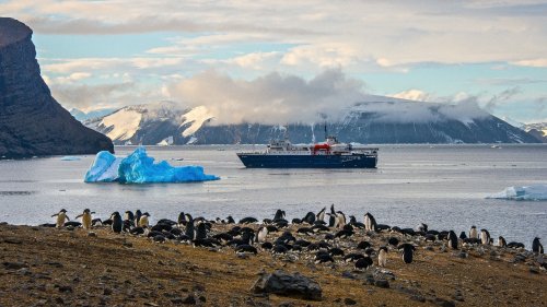 Around Spitsbergen, In the realm of Polar Bear & Ice (m/v Ortelius)