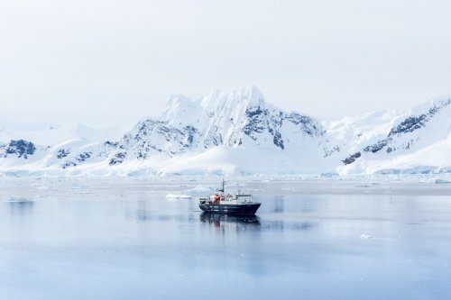 Around Spitsbergen, In the realm of Polar Bear & Ice (m/v Ortelius)