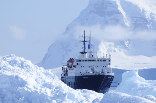 Around Spitsbergen, In the realm of Polar Bear & Ice (m/v Ortelius)