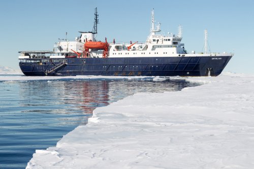 Around Spitsbergen, In the realm of Polar Bear & Ice (m/v Ortelius)