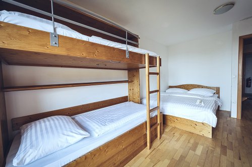 Forest Apartmány Videc