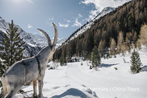 Běžkování v srdci Sextenských Dolomit