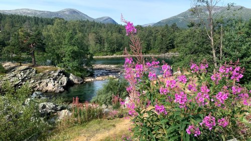 VODOPÁDY, LEDOVCE A FJORDY NORSKA