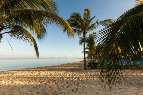 OCCIDENTAL ALLEGRO COZUMEL 4
