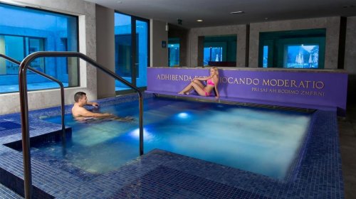 Wellness pobyt s dopravou, polopenzí a ochutnávkou na farmě v ceně v hotelu Rimski/Zdraviliški Dvor