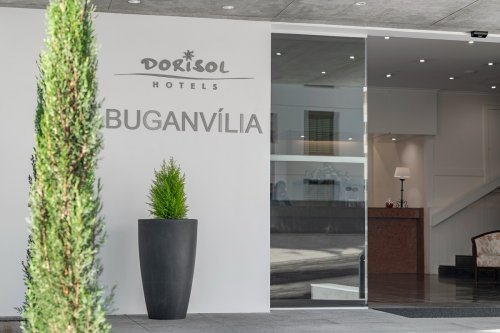 Dorisol Buganvilia