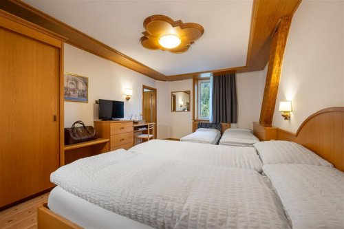 Hotel Vioz