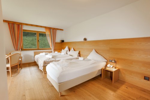 Hotel Künstleralm