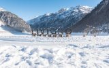 Apartmány Mountain Bliss