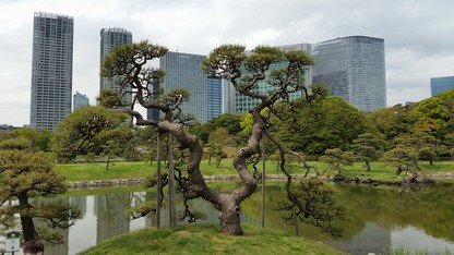 JAPONSKO - 2026!