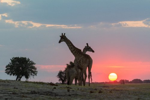 Victoria Falls & Chobe NP & delta Okavanga