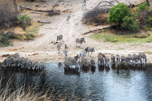 Victoria Falls & Chobe NP & delta Okavanga