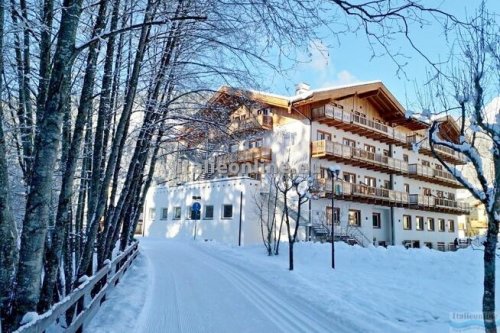 Hotel Park Avisio SKI