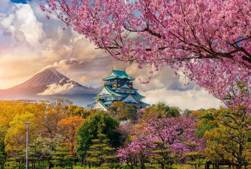 Japonsko - Tropický Ostrov Okinawa A Malý Okruh Japonskem