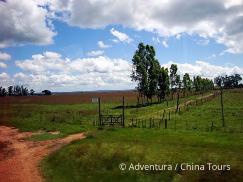 Paraguay na kole