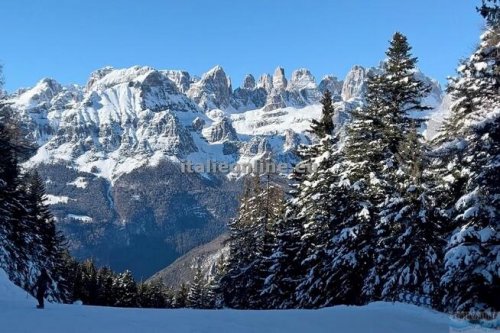 Hotel Ariston SKI