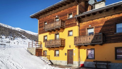 Chalet Sunflower
