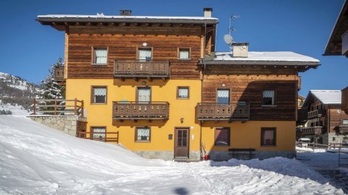Chalet Sunflower