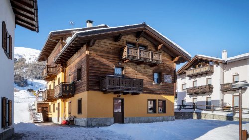 Chalet Sunflower