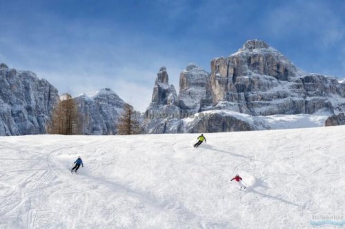 Appartamenti Montanaris Alpine SKI