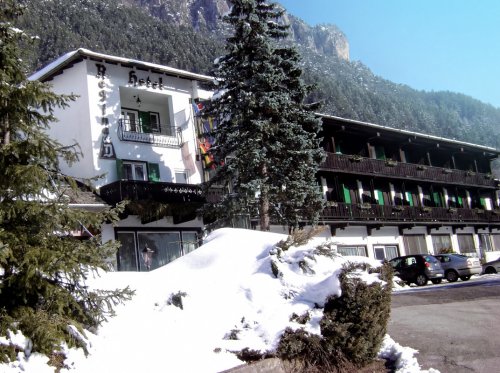 Park Hotel Regina delle Dolomiti