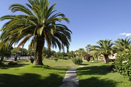 Apartmány Baia Delle Palme