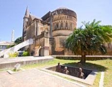 Příroda východní Afriky - Keňa, Tanzanie, Zanzibar