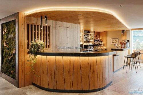 Hotel Digon SKI