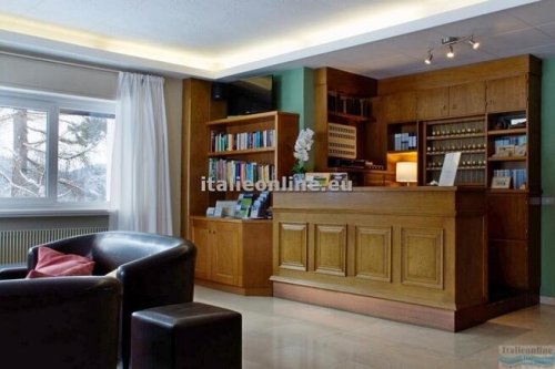 Hotel Stella Alpina - Park Hotel San Celso SKI