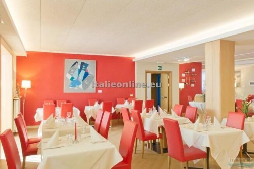 Hotel Stella Alpina - Park Hotel San Celso SKI