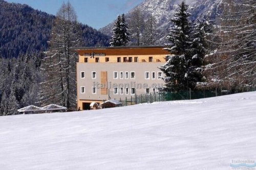 Hotel Stella Alpina - Park Hotel San Celso SKI