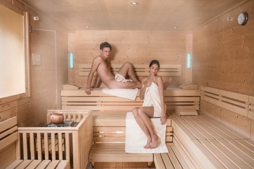 Hotel Alpina