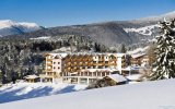 Katalog zájezdů - Itálie, Hotel Alpin Relax Chalet Tianes SKI