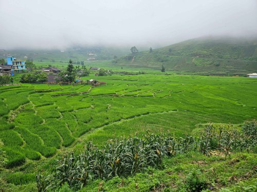 Totální Vietnam