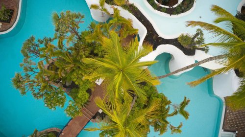Dreams Jardin Tropical