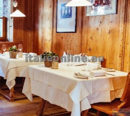 Hotel Tanzer SKI