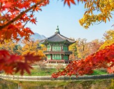 Jižní Korea - Cesta mezi tradicí a modernou