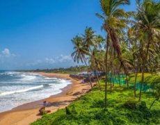 Hotel Vivanta 5, Miramar, Goa