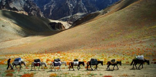 Ladakh a Kašmír - letní verze