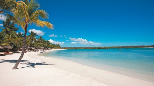Constance Prince Maurice