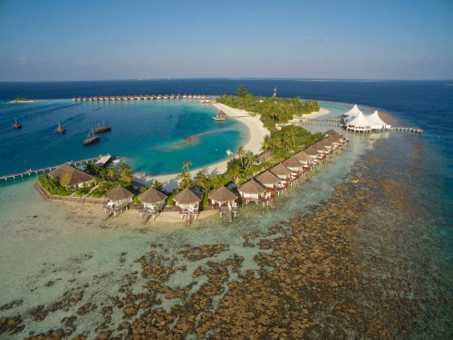 Safari Island Resort