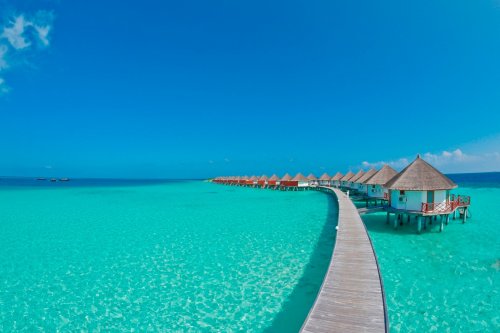 Safari Island Resort