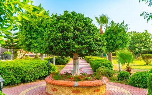 Hotel Clover Magic Pak Beach Alanya