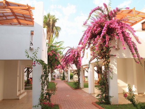 Hotel Club Kastalia
