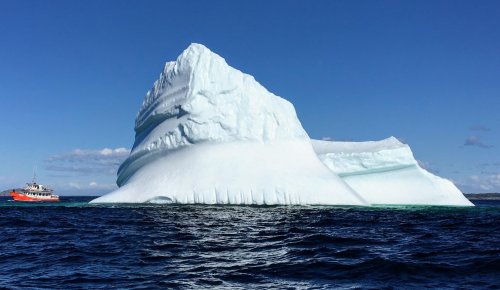 NEWFOUNDLAND – bájný vikingský Vinland